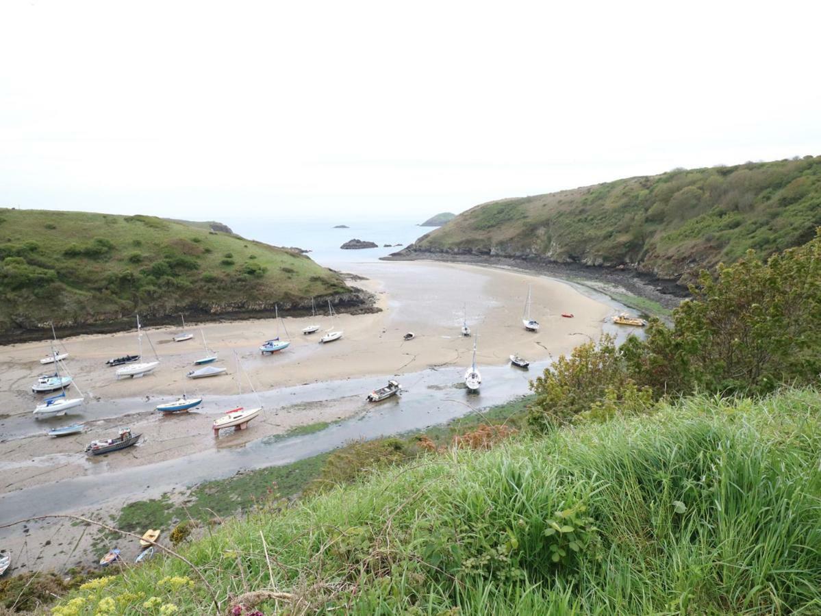 The Old Stables Villa Fishguard Esterno foto